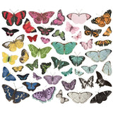 Troqueles para paletas de colores de mariposas, paquete de 44 