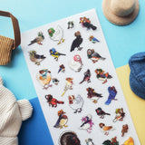 Pretty Birdies Sticker Sheet