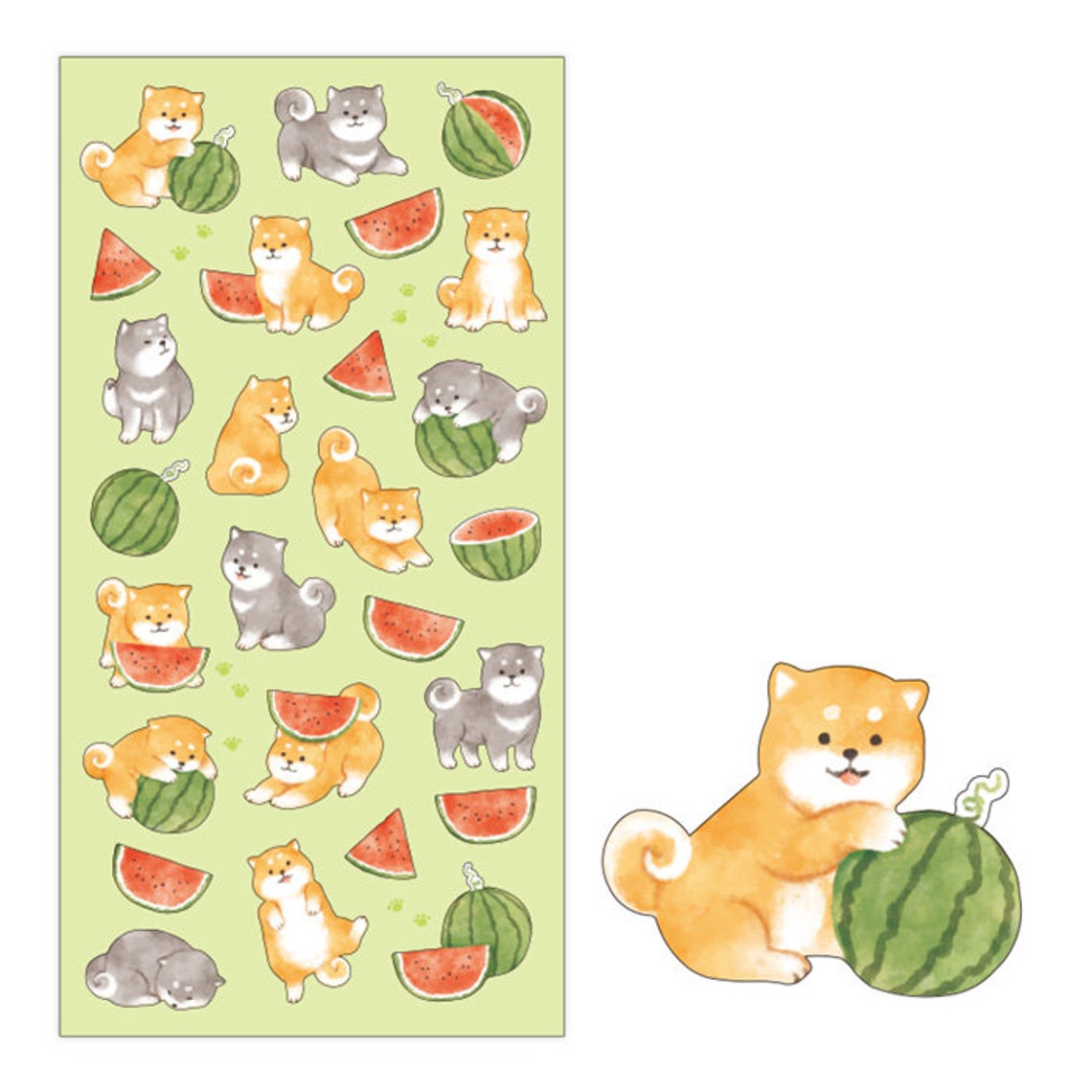 Shiba Inu & Watermelon