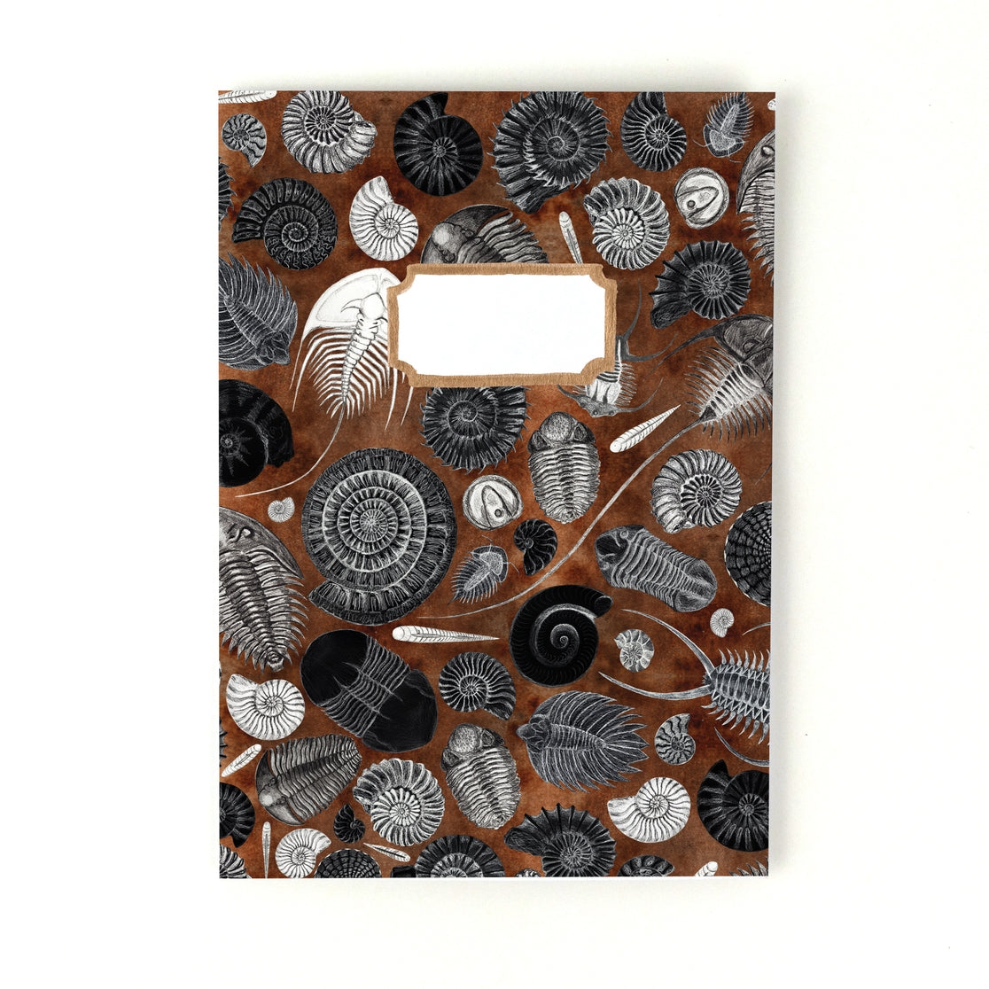 Ammonoidea Fossil Notebook