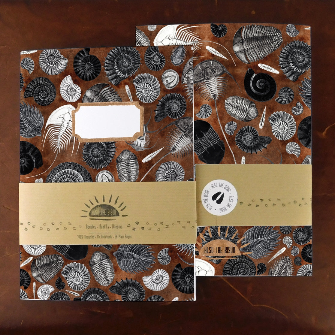 Ammonoidea Fossil Notebook