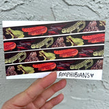 Amphibians Washi Tape