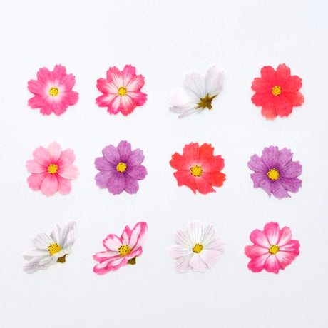 Bande Cherry Blossom Washi Roll Sticker