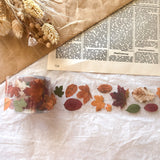 Samesjournal Autumn Leaves Pet Tape