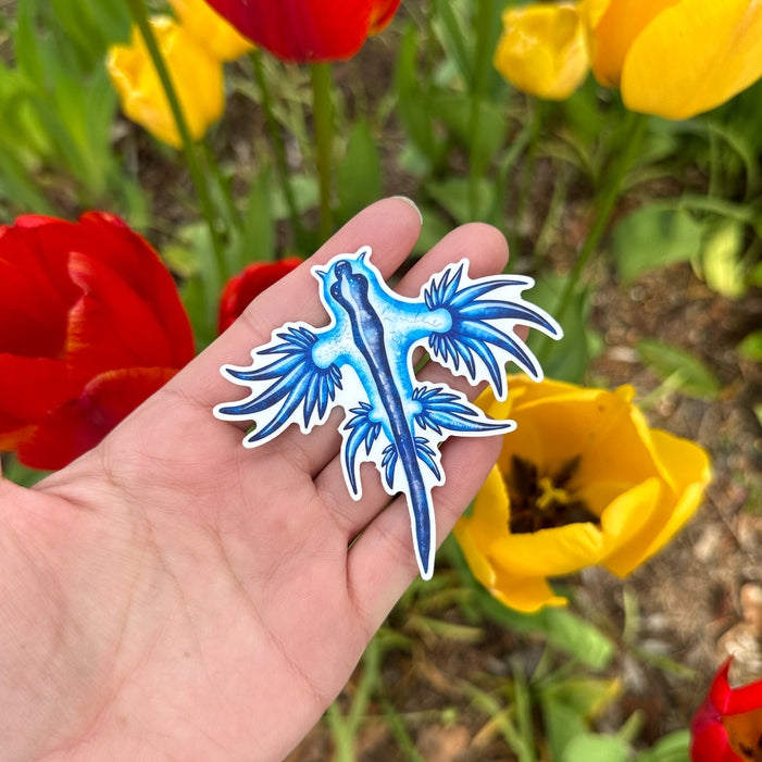 Blue Dragon Nudibranch Vinyl Sticker - Glaucus Atlanticus