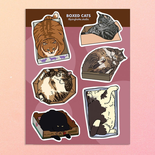 Boxed Cat Meme Sticker Sheet