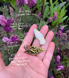 Butterfly Sea Slug Nudibranch Enamel Pin