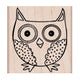 Big Hoot Owl Stamp