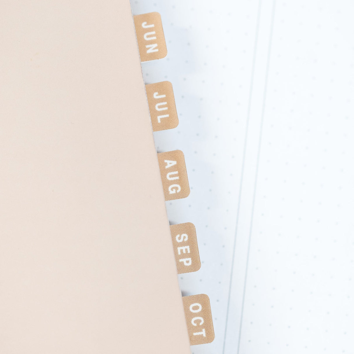 Neutral Monthly Tab Stickers