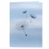 Dandelion Wishes Pop-up Card