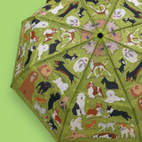 Dog Park Umbrella