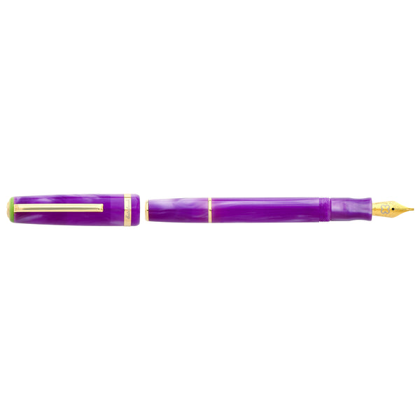 Esterbrook JR Pen - Paradise Collection - Purple Passion Fountain Pen