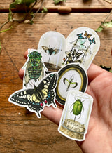 Entomology Vinyl Sticker Set