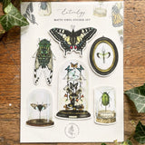 Entomology Matt Vinyl Sticker Set