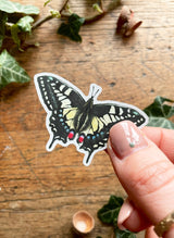 Entomology Vinyl Sticker Set