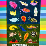 Gastropoda Slugs & Snails Sticker Sheet