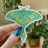 Glitter Luna Moth Sticker