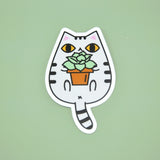 Gray Tabby Cat and Succulent Plant Vinyl Sticker