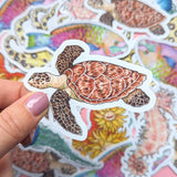 Great Barrier Reef Stickers - Set of 6