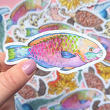 Great Barrier Reef Stickers - Set of 6