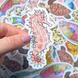 Great Barrier Reef Stickers - Set of 6