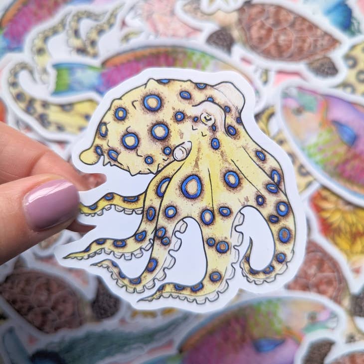 Great Barrier Reef Stickers - Set of 6