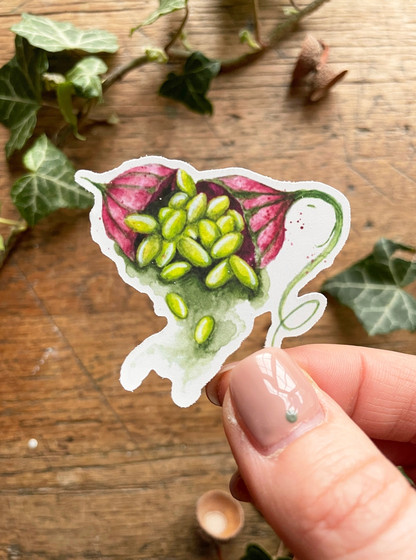 Herbology Vinyl Sticker Set