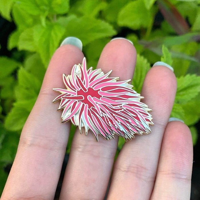 Pin de nudibranquio rosa de Hopkins 