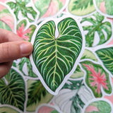 Tropical Leaves Sticker Pack - Set of 6