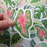 Tropical Leaves Sticker Pack - Set of 6