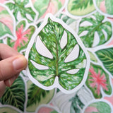 Tropical Leaves Sticker Pack - Set of 6