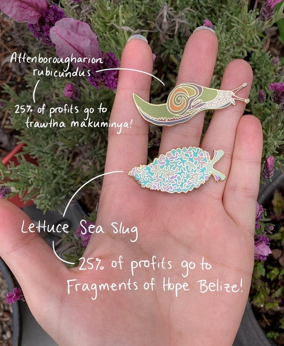 Lettuce Sea Slug Enamel Pin