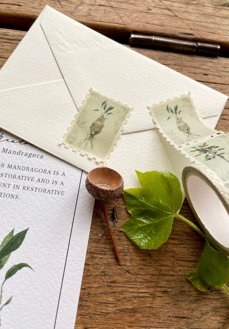 Magical Botanical Herbology Stamp Washi Tape