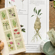 Magical Botanical Herbology Stamp Washi Tape