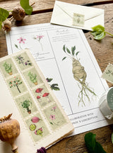 Magical Botanical Herbology Stamp Washi Tape