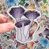 Mushroom Sticker Pack - Set of 6