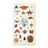 Nature Study Sticker Sheet