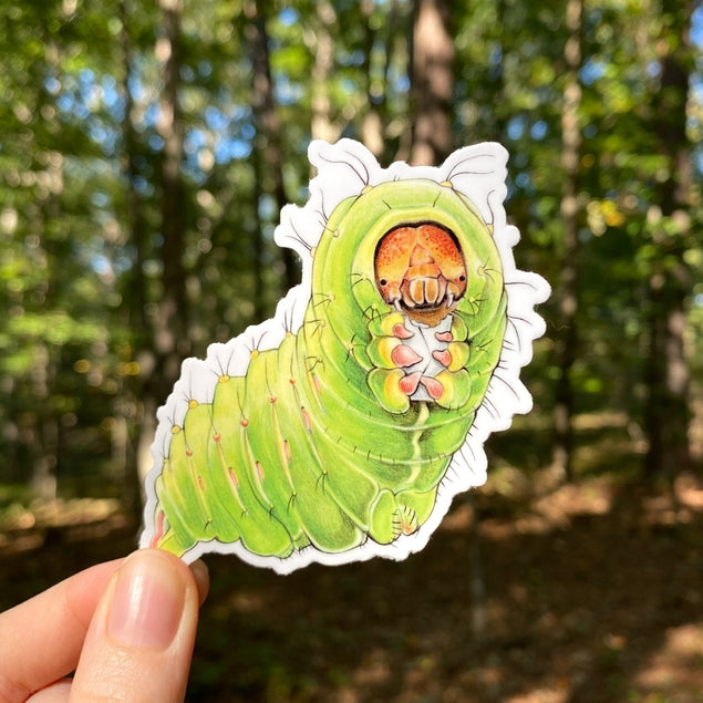 Polyphemus Caterpillar W/ Letter Weatherproof Vinyl Sticker