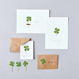 Pressed Flower & Plant Set 4-Leaf Clover