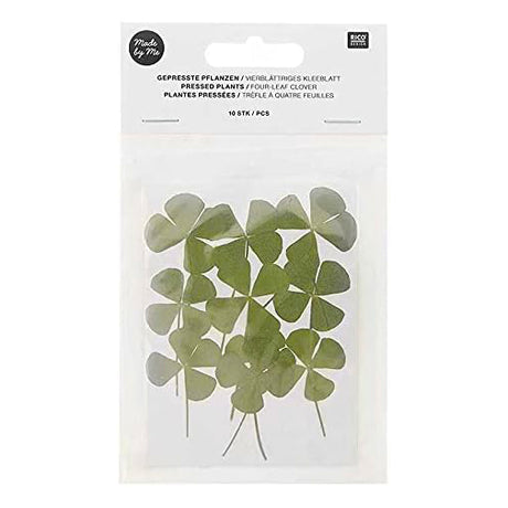 Pressed Flower & Plant Set 4-Leaf Clover