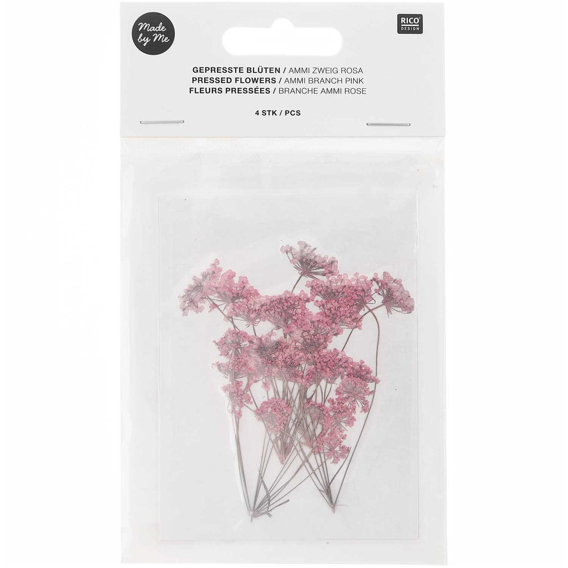 Pressed Flower & Plant Set Ammi Branch Pink