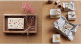 Pressed Flower & Plant Set Gypsophilia Peach