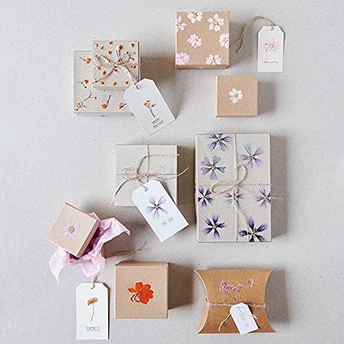 Pressed Flower & Plant Set Gypsophilia Peach