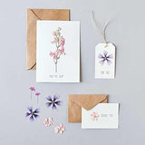 Pressed Flower & Plant Set White Violet Mix