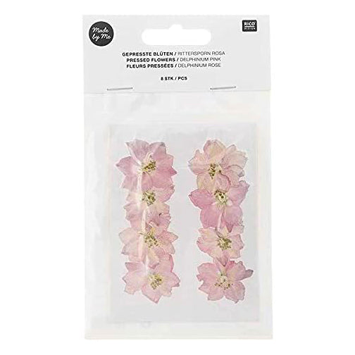 Pressed Flower & Plant Set Delphinium Pink