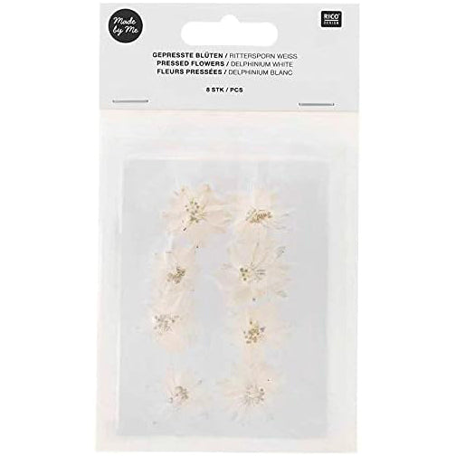 Pressed Flower & Plant Set Delphinium White