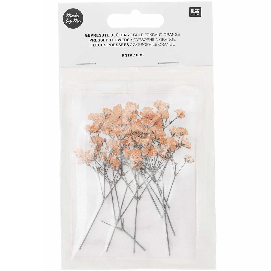 Pressed Flower & Plant Set Gypsophilia Peach