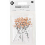 Pressed Flower & Plant Set Gypsophilia Peach