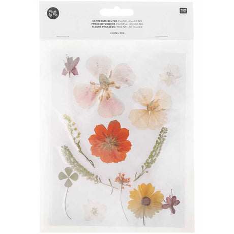 Pressed Flower & Plant Set Natural Orange Mix