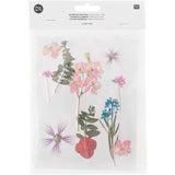 Pressed Flower & Plant Set Pink Violet Mix